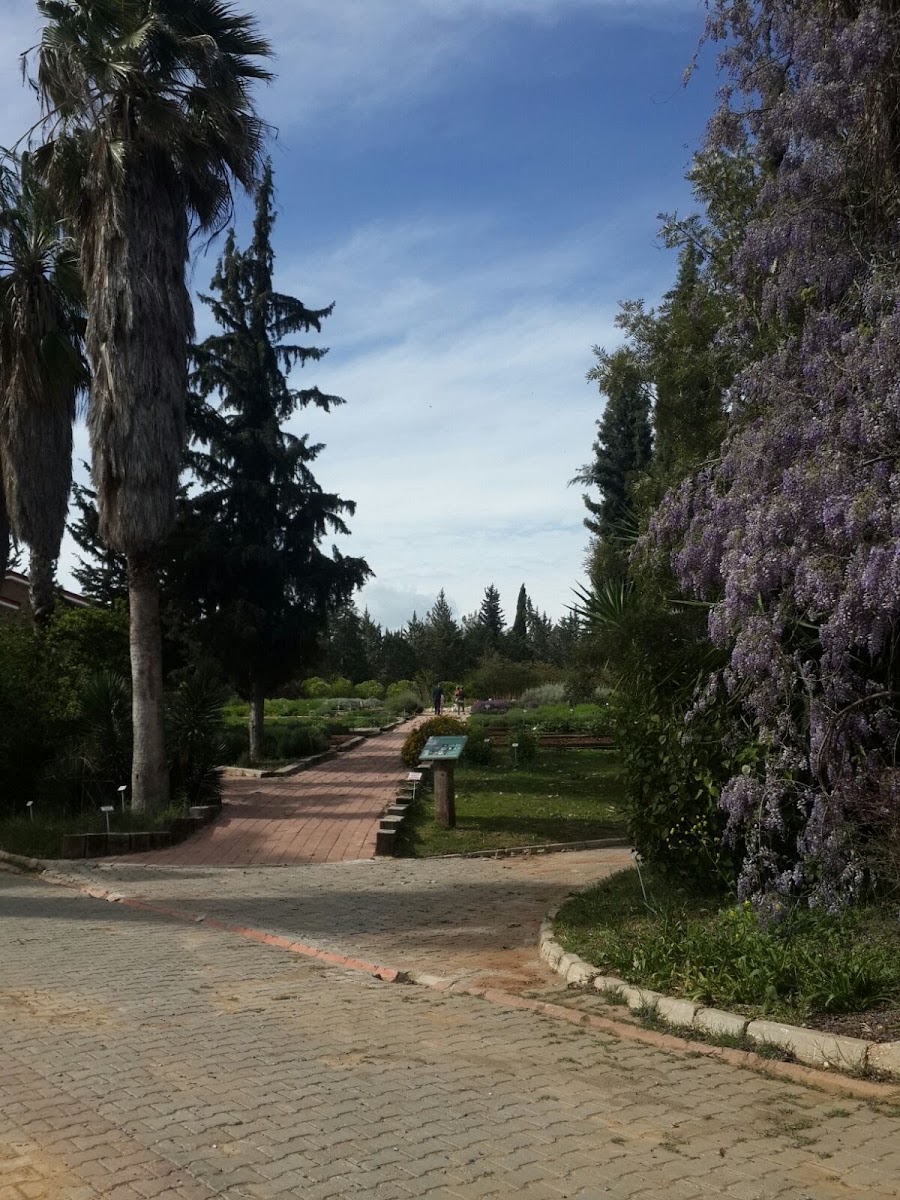 Çukurova Üniversitesi Botanik Bahçesi — photo 3