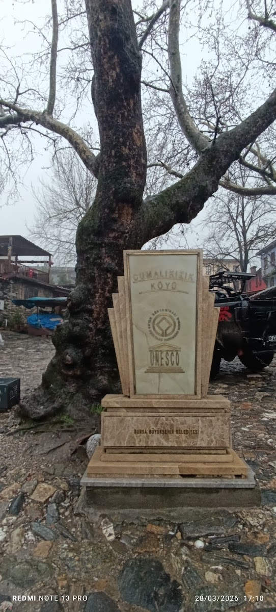 Cumalıkızık Köyü — fotoğraf 2