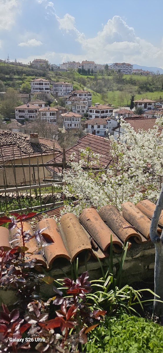 Dadibra Konak Hotel — fotoğraf 2
