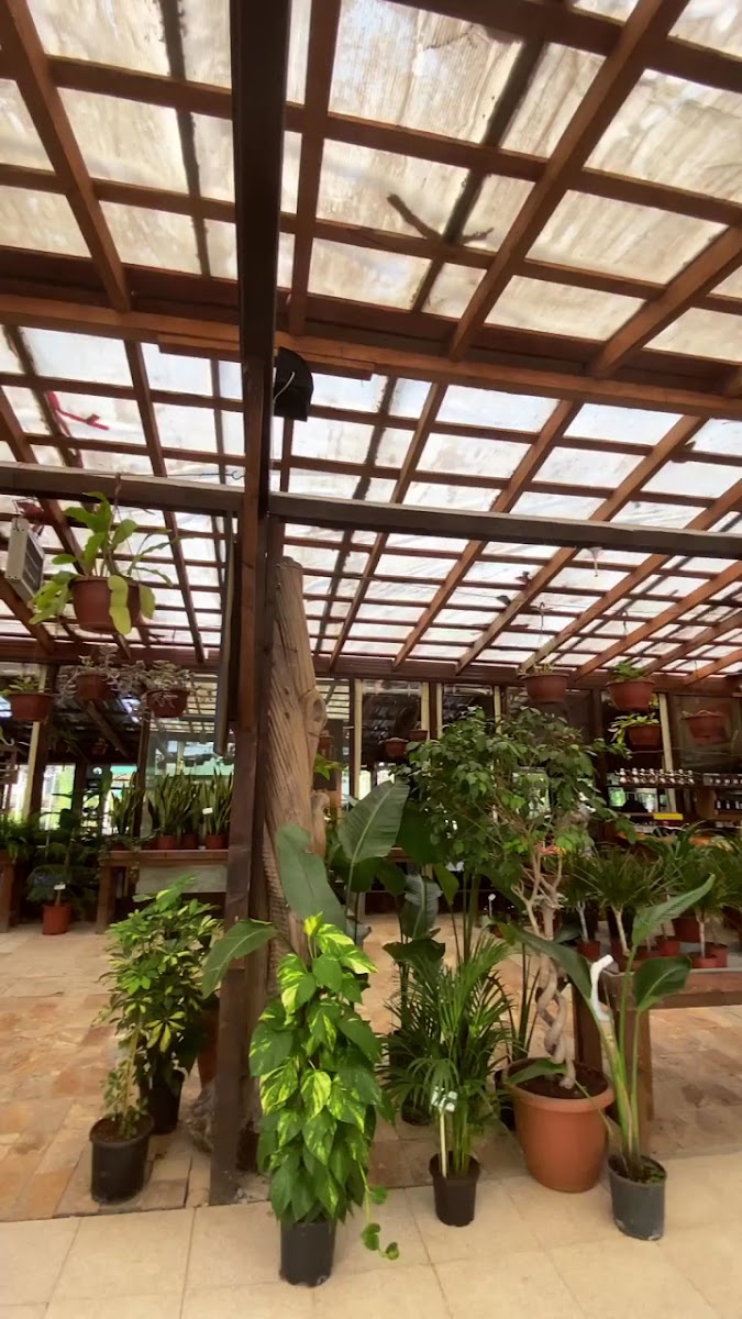 Dafne Kafe Kahvaltı — fotoğraf 3