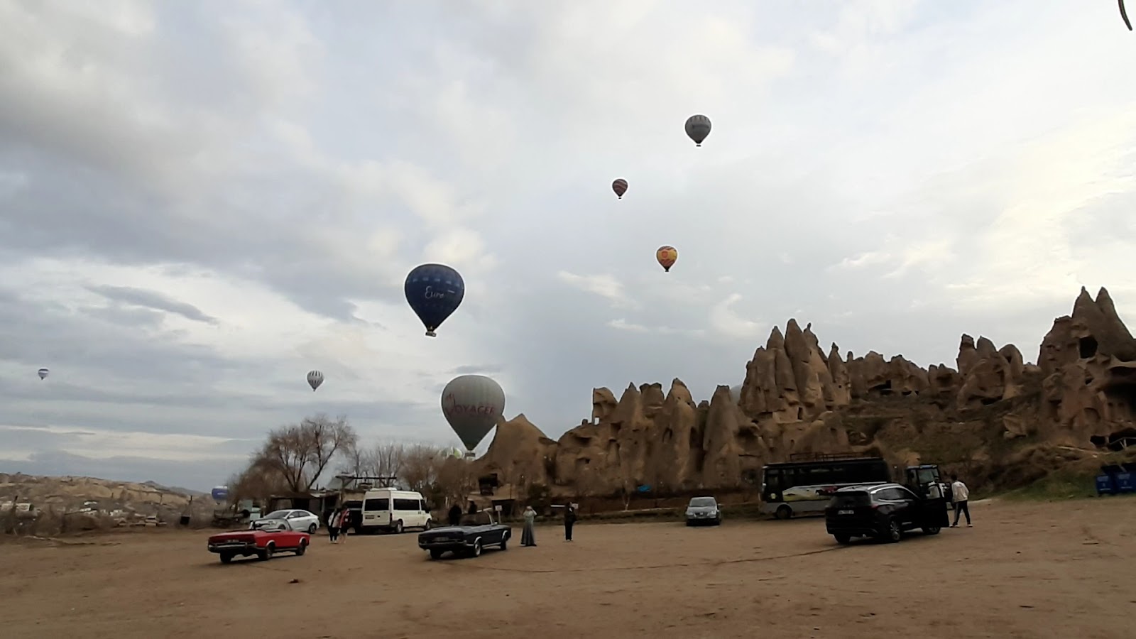 Dalton Kardeşler At Çiftliği — fotoğraf 3