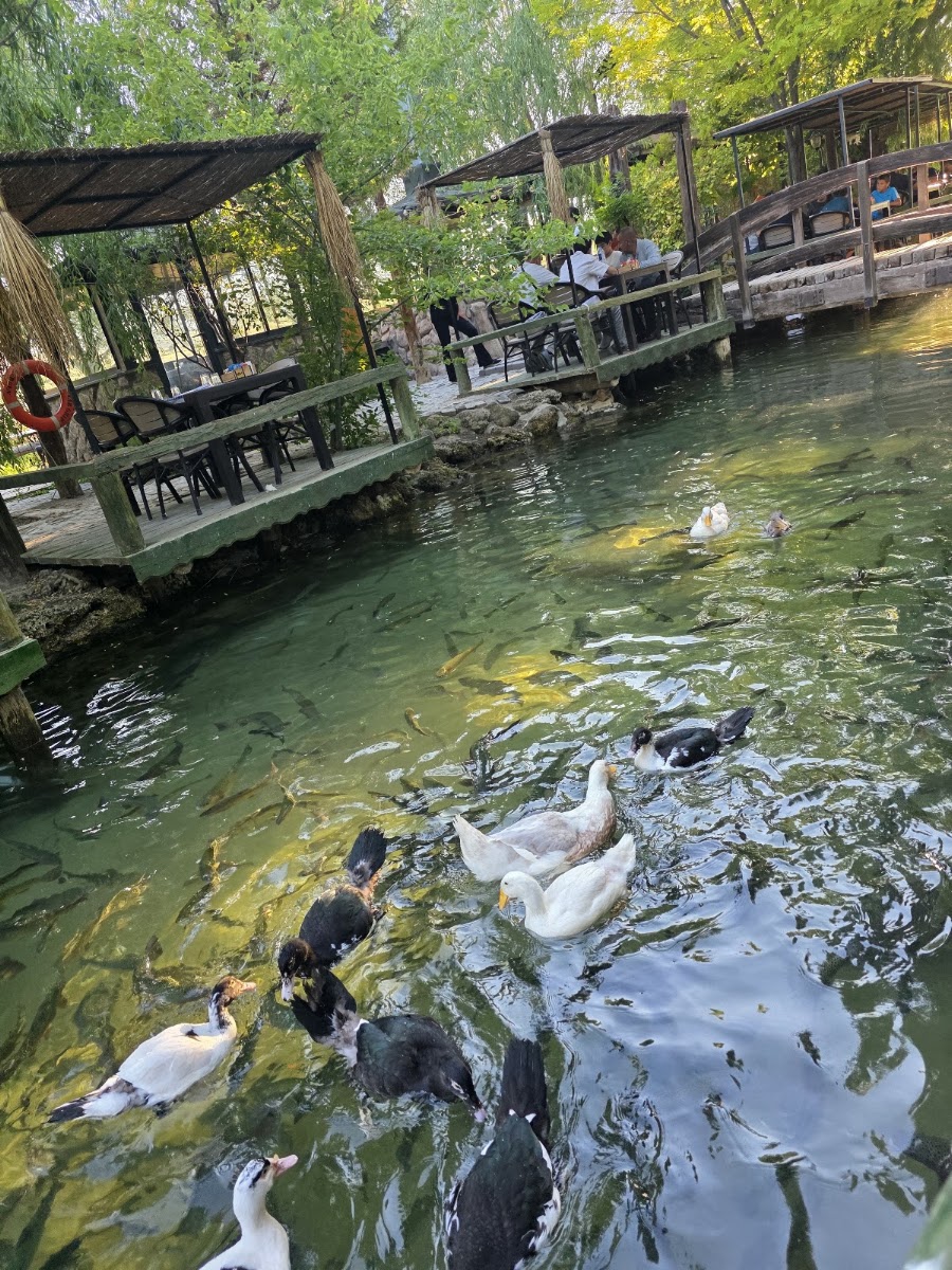 DALYAN BALIK ÇİFTLİĞİ — photo 3