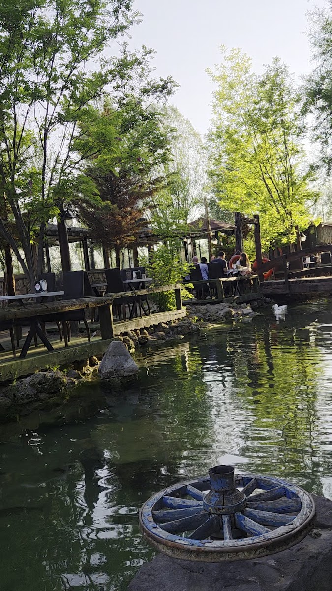 DALYAN BALIK ÇİFTLİĞİ — photo 3
