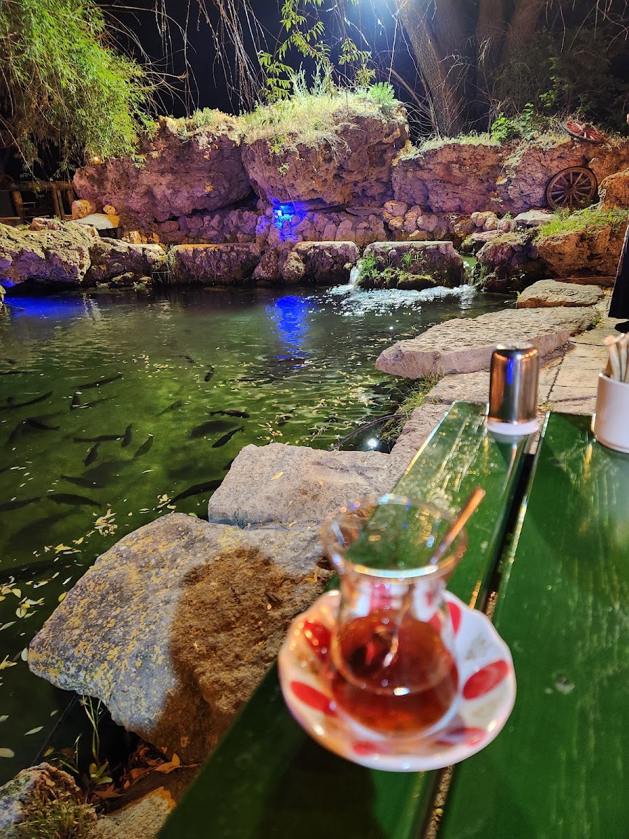 DALYAN BALIK ÇİFTLİĞİ — photo 5