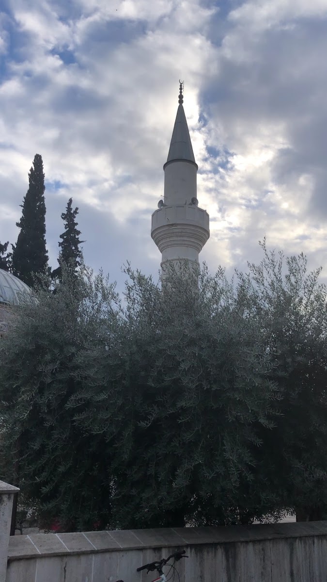 Dalyan Cami — fotoğraf 3