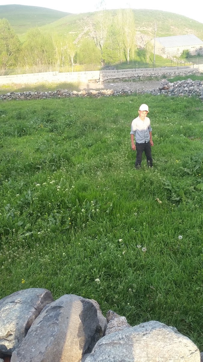 Dalyan Et Ve Balık Lokantası — photo