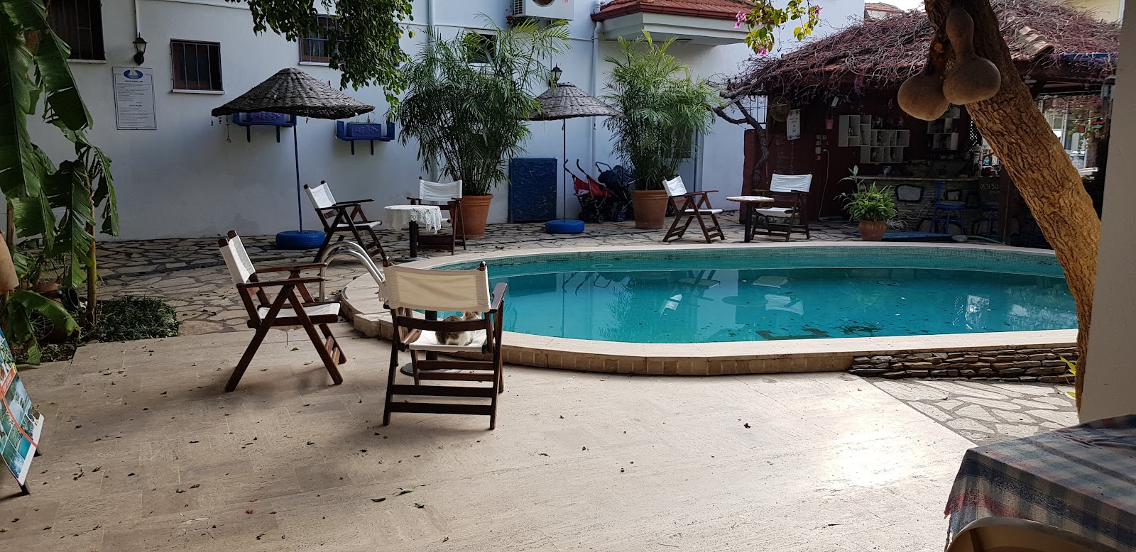 Dalyando Apart Hotel — photo 4