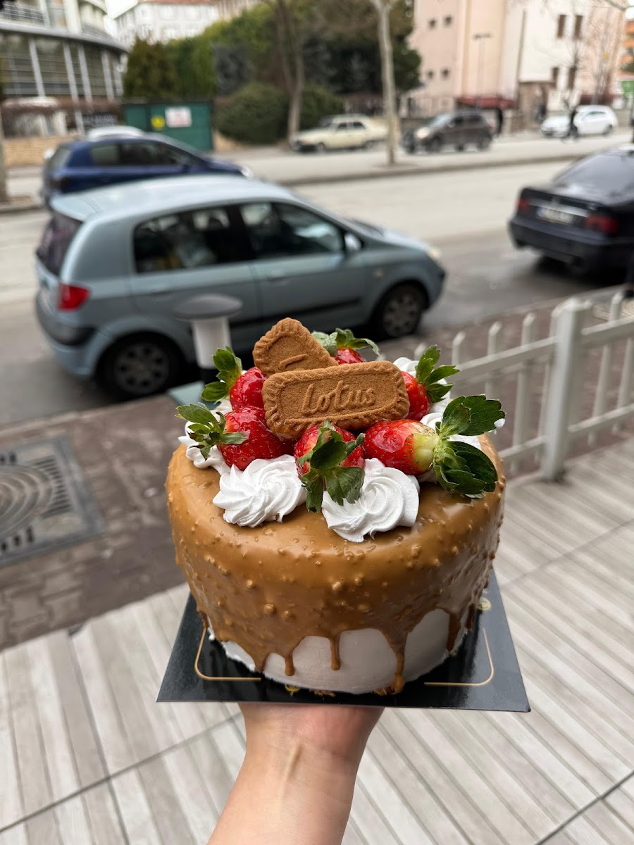 Damla Pastanesi — photo 8