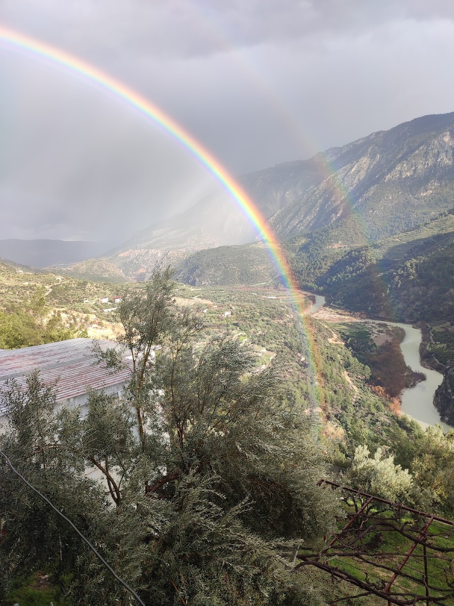 Danyal Ateş'in Yeri — fotoğraf 9