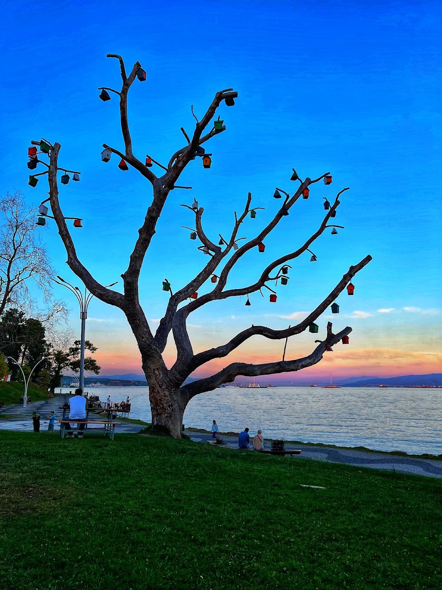 Darıca Hobbit Köyü — fotoğraf 5