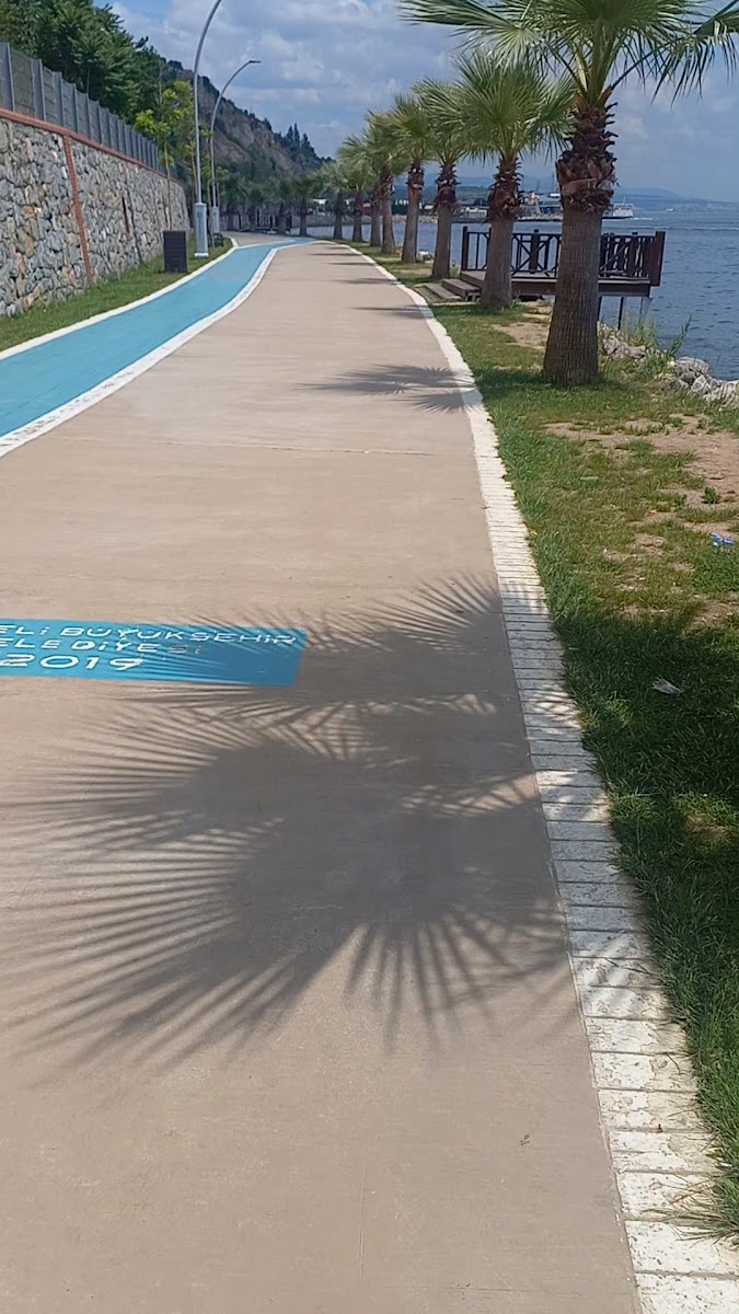 Darıca Millet Bahçesi — fotoğraf 2