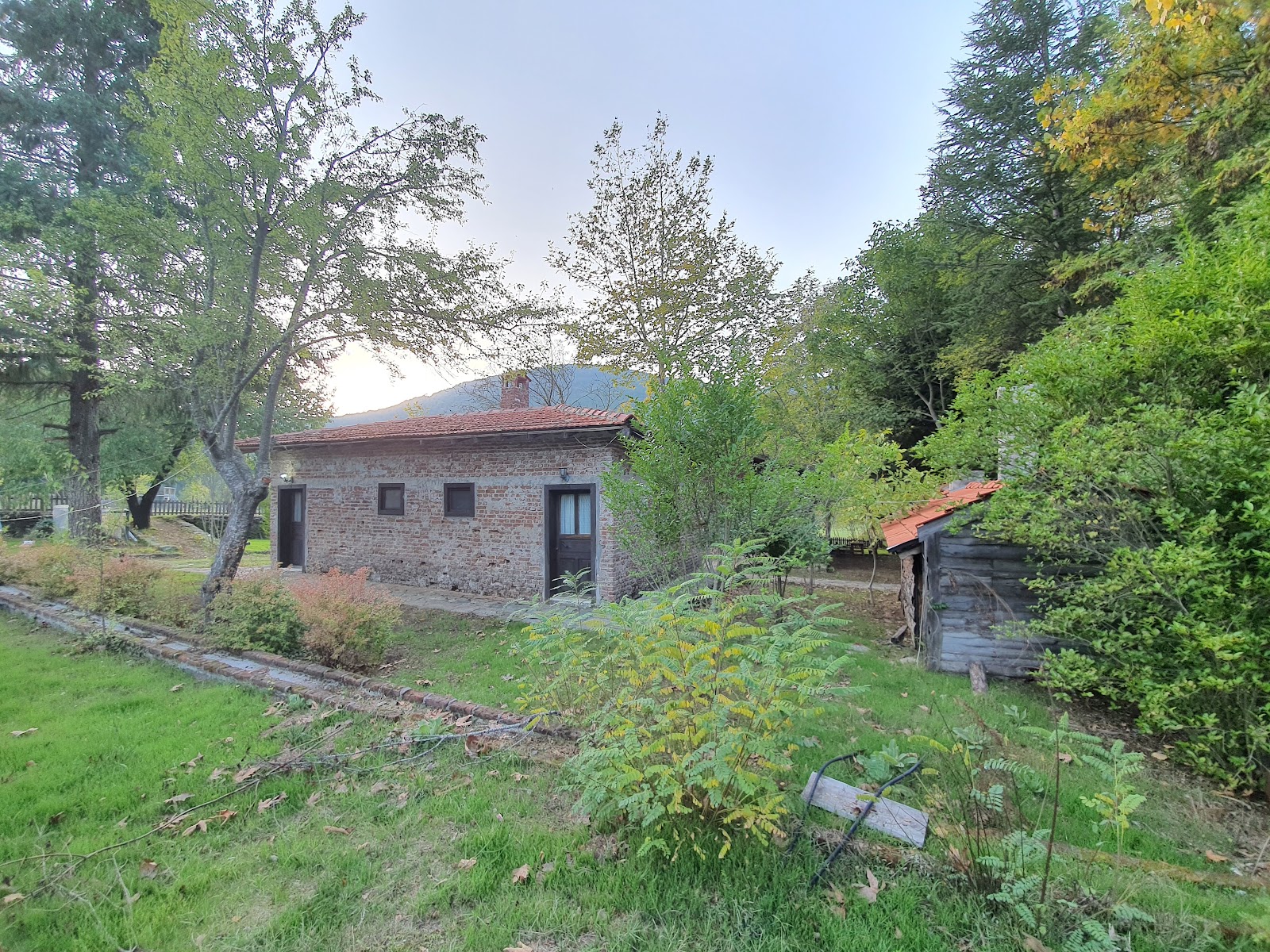 Darıdere Tabiat Parkı — fotoğraf 4