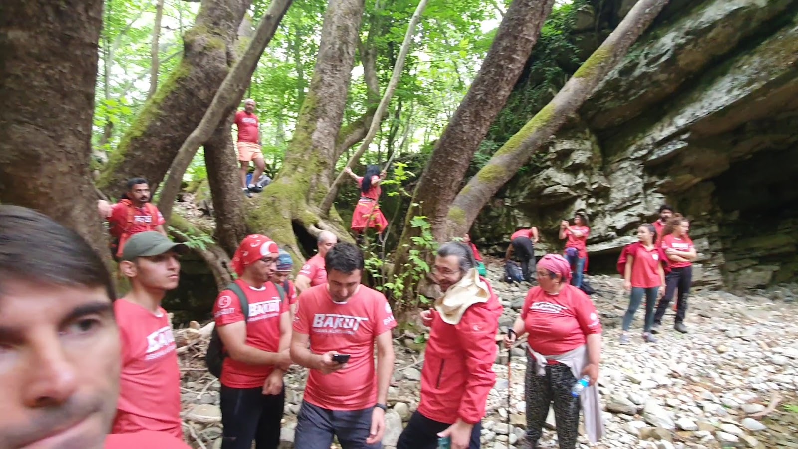 Darıdere Tabiat Parkı — fotoğraf 7