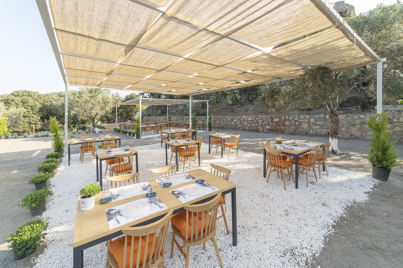 Daşdibi Kahvaltı & Kafe Bodrum — fotoğraf 1