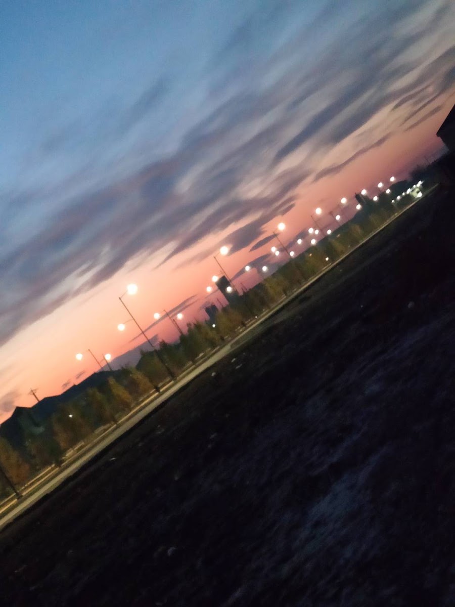 Dədə Qorqud Parkı — photo 2