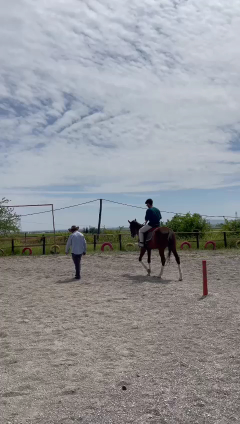 Dede Pony Club — fotoğraf 3