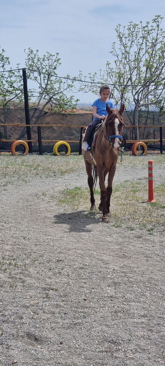 Dede Pony Club — fotoğraf 4