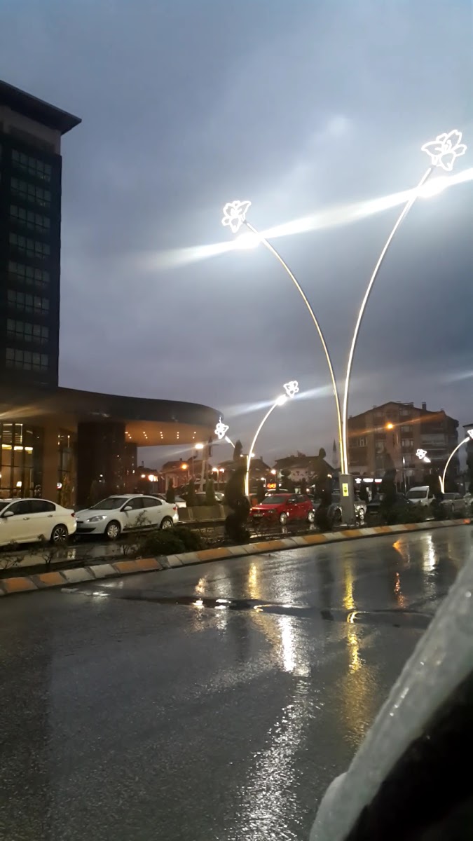 Dedeman Tokat — fotoğraf 3