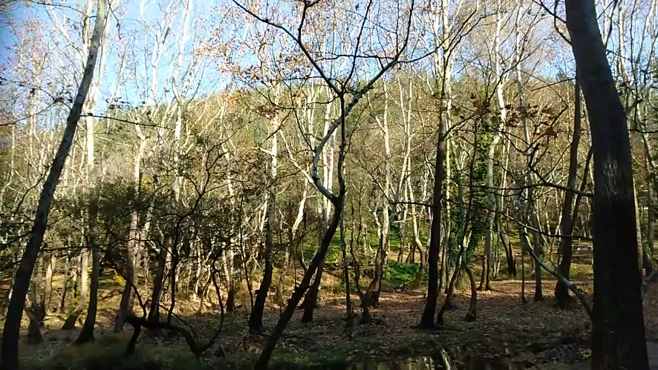 Değirmen Boğazı Mesire Alanı Çocuk Parkı — fotoğraf 3