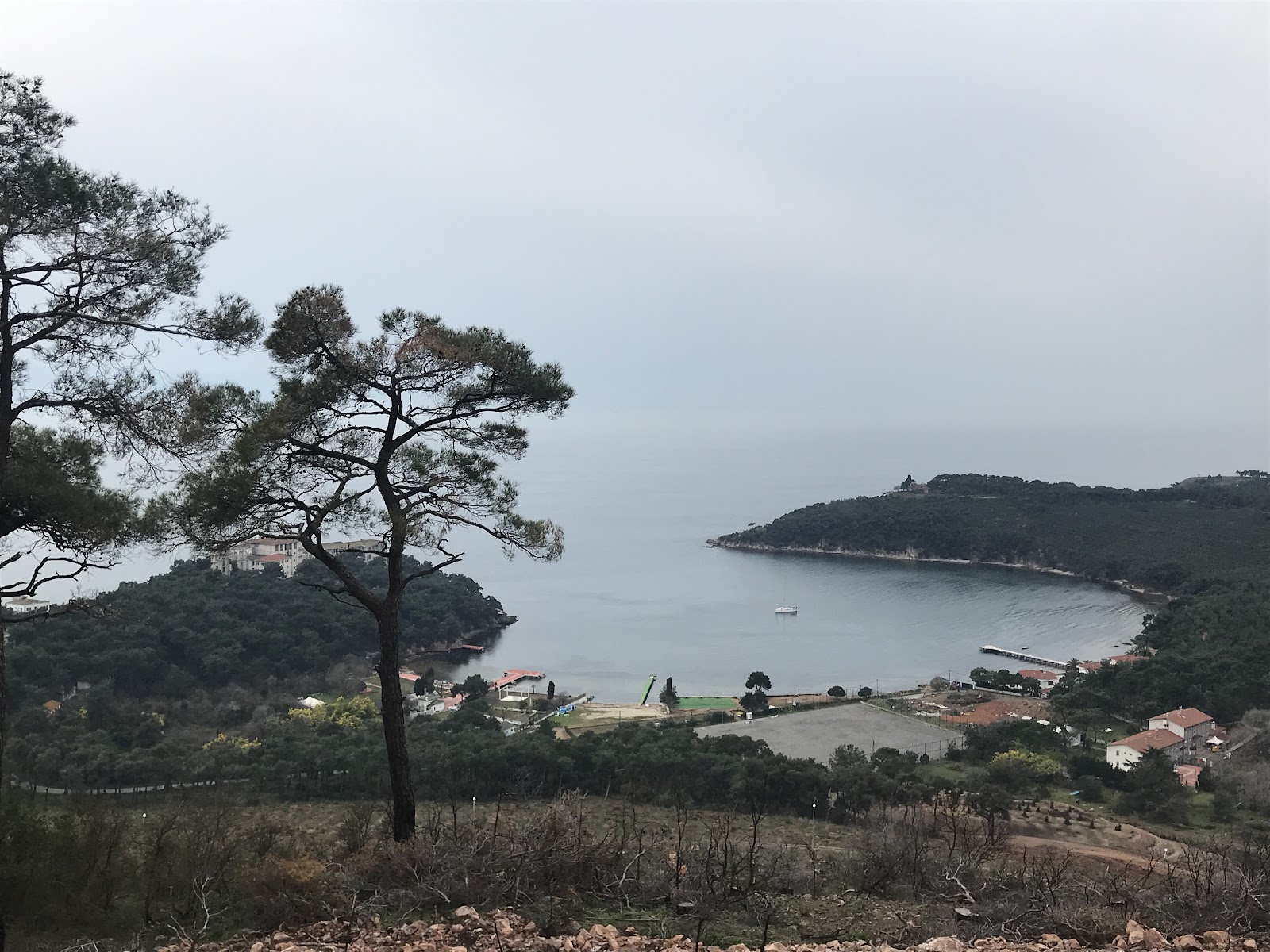 Değirmen Tepesi Kutrulomilo