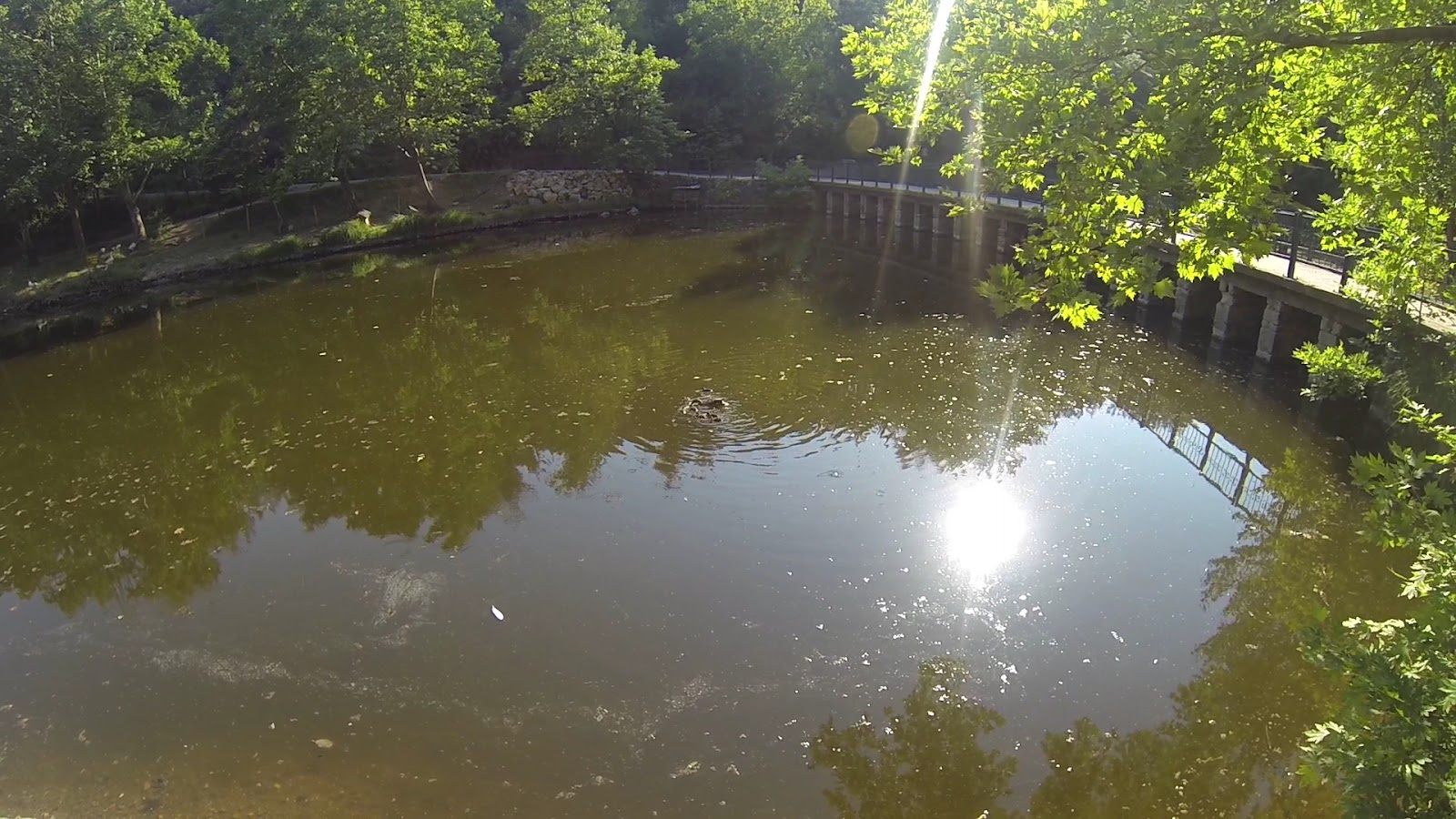 Değirmenboğazı Tabiat Parkı — fotoğraf 3