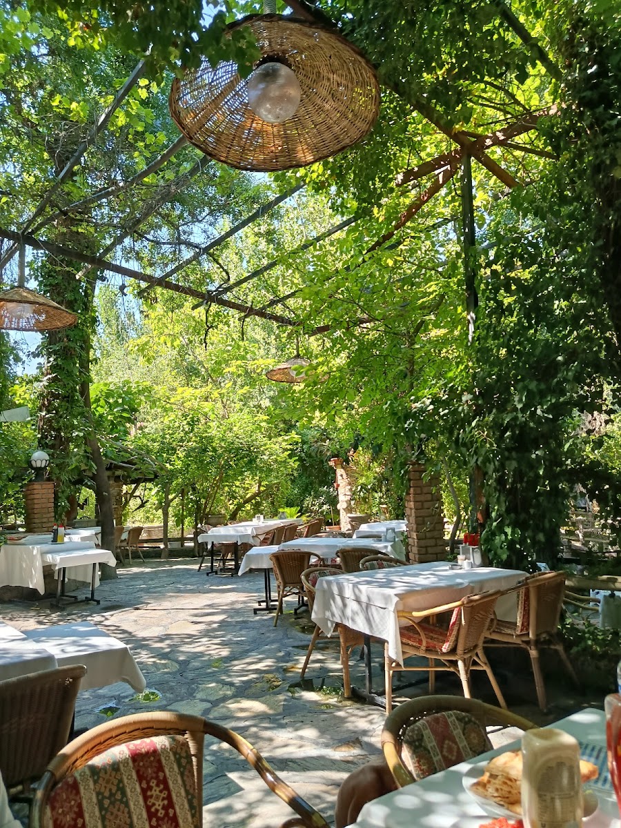 Değirmende Canlı Alabalık — fotoğraf