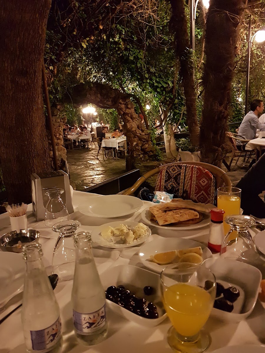 Değirmende Canlı Alabalık — fotoğraf 4