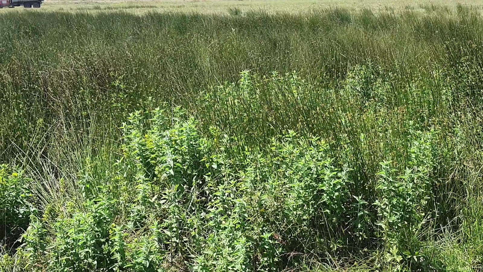 Delmece Yaylası — fotoğraf 3