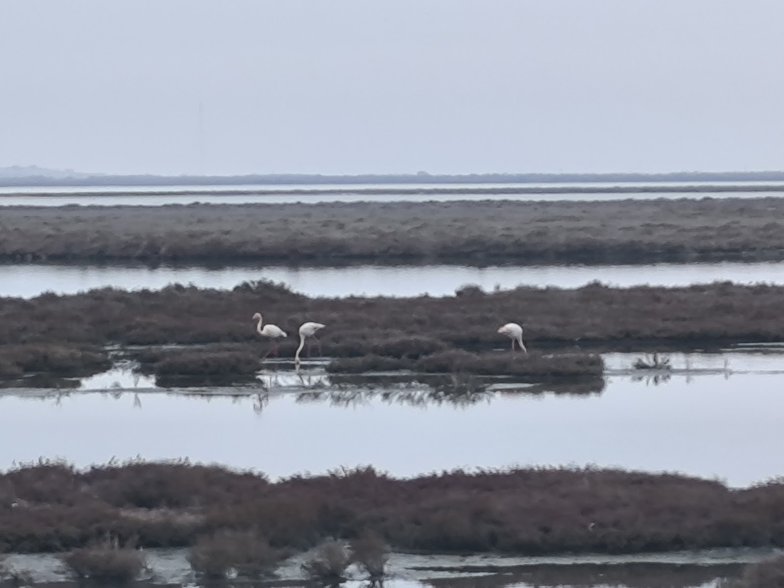 Delta Evros Explorer — photo