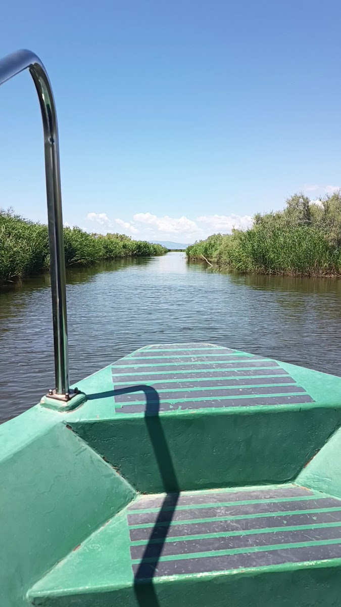 Delta Evros Explorer — photo 2