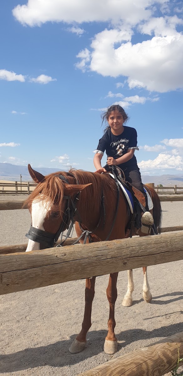 Demet Hanımın At Çiftliği Binicilik Ve İhtisas Kulübü — fotoğraf 1