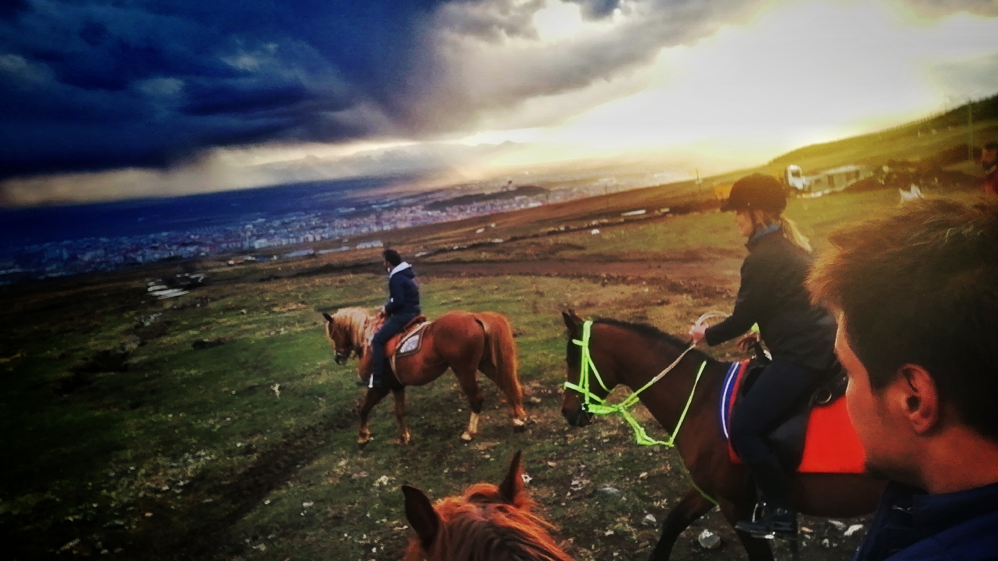 Demet Hanımın At Çiftliği Binicilik Ve İhtisas Kulübü — fotoğraf 5