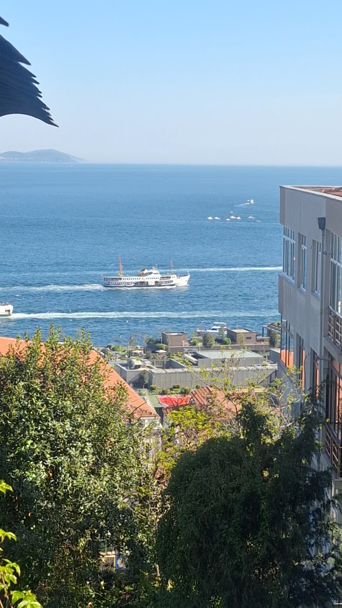 Demeti Meyhanesi — fotoğraf 3