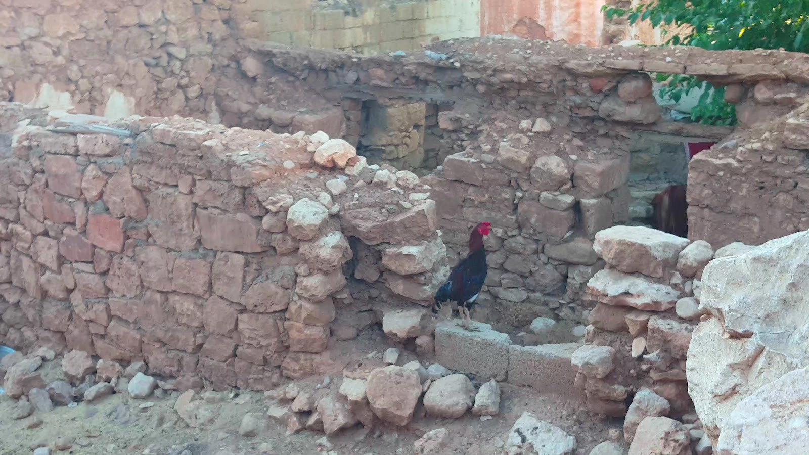 Demir Kale (İndere) — fotoğraf 3