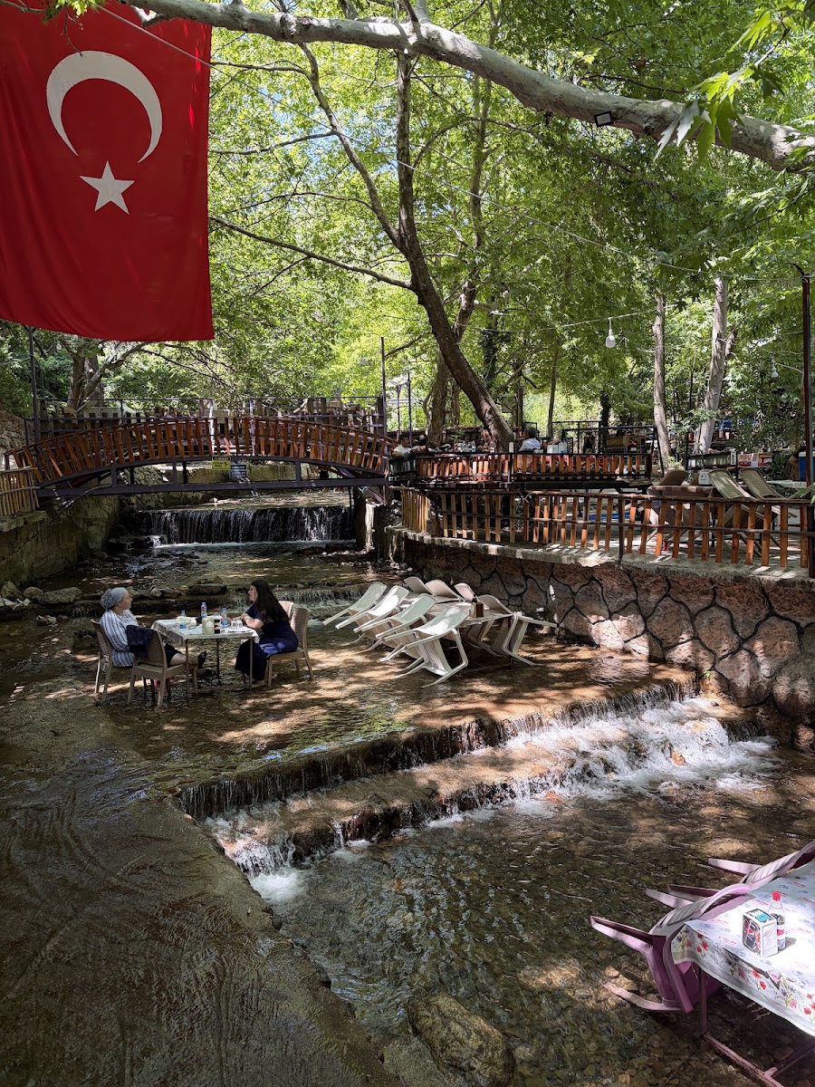 DEMREK GÖKKUŞAĞI ALABALIK RESTORAN — photo 2