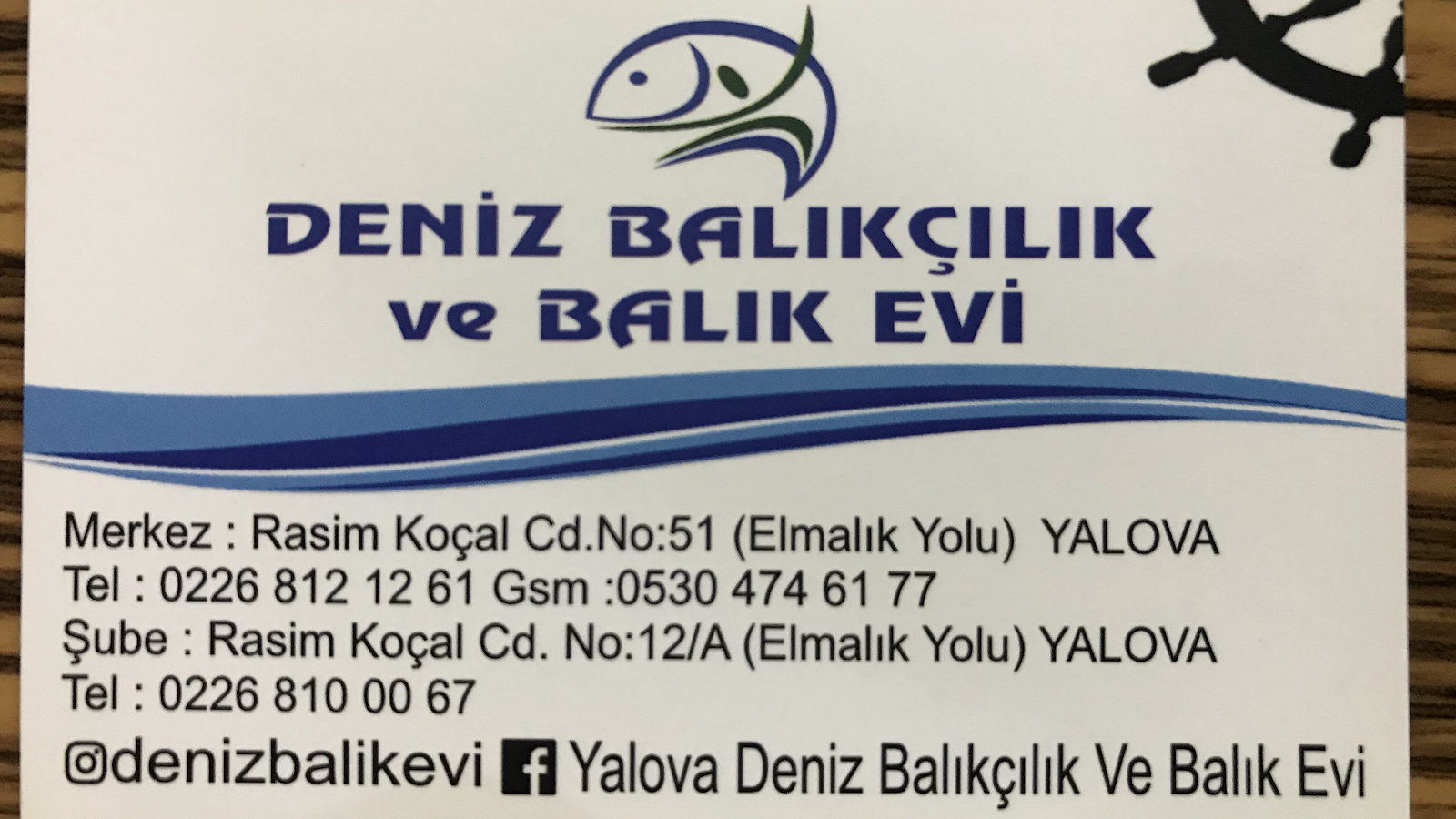 Deniz Balıkçılık ve Balık Evi (Merkez) — fotoğraf 7