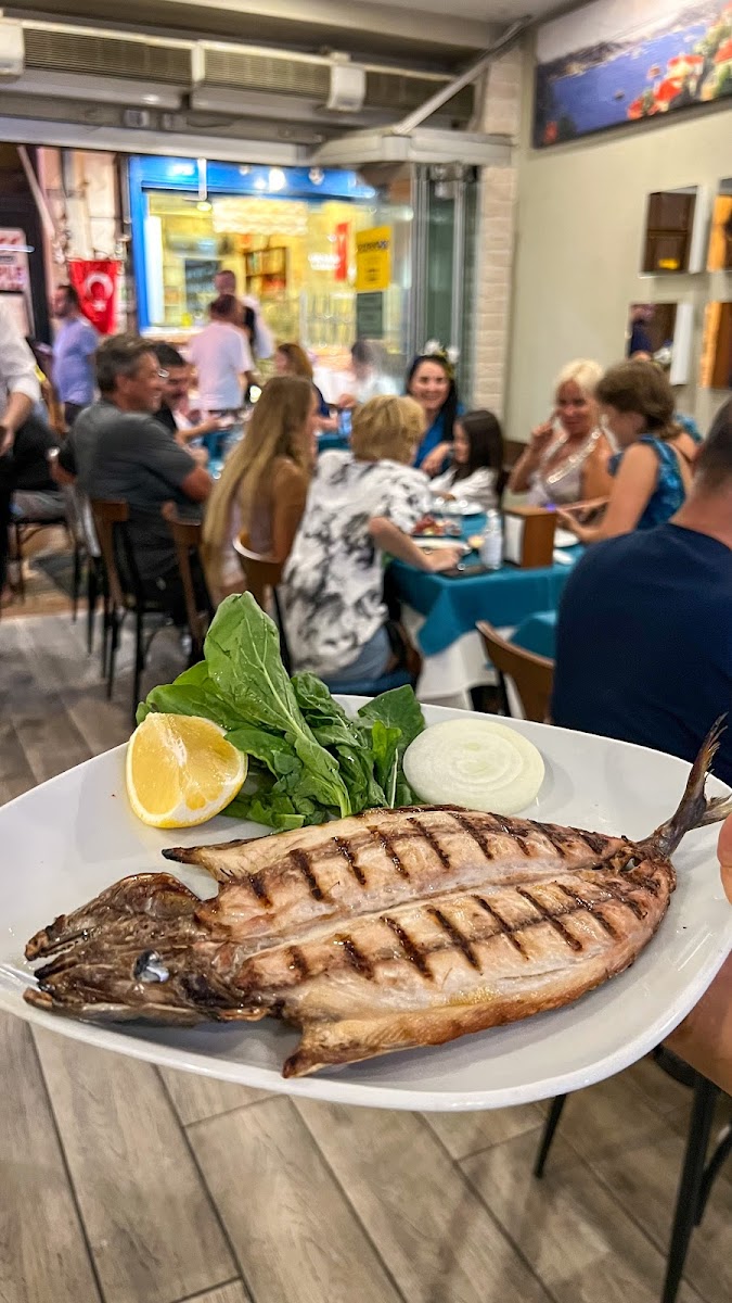 Deniz Yıldızı Restaurant — fotoğraf 10