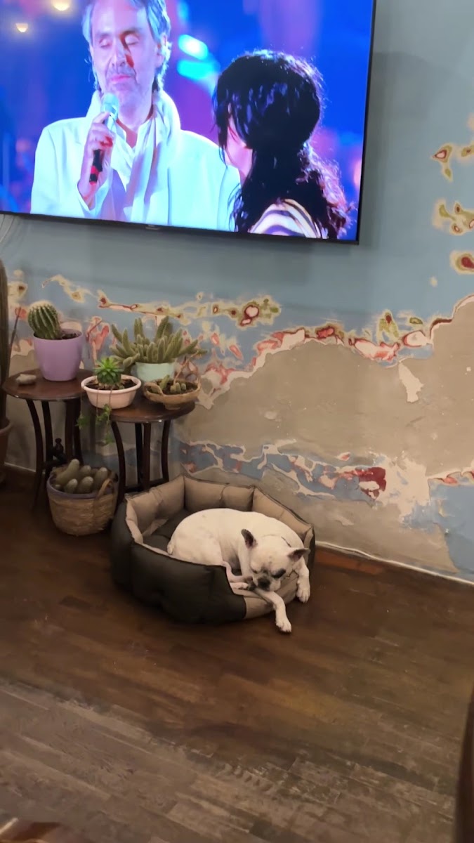 Denizci Otel — fotoğraf 3