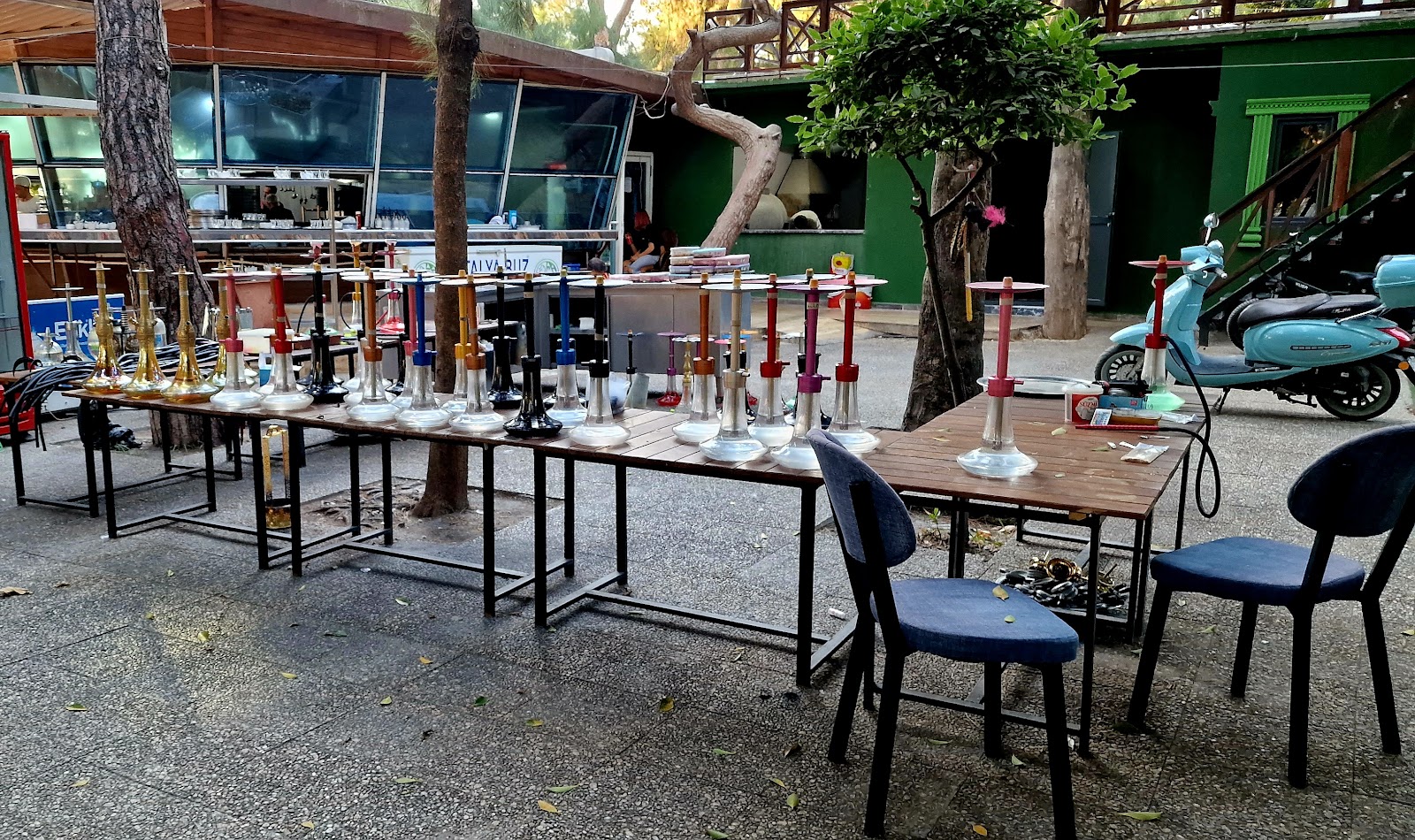 DENİZE KARŞI GARDEN — photo 2