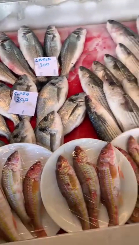 Denizkızı Derya pansiyon - - Karaburun - Pension-Live Music -Seafood Restaurant — photo 3
