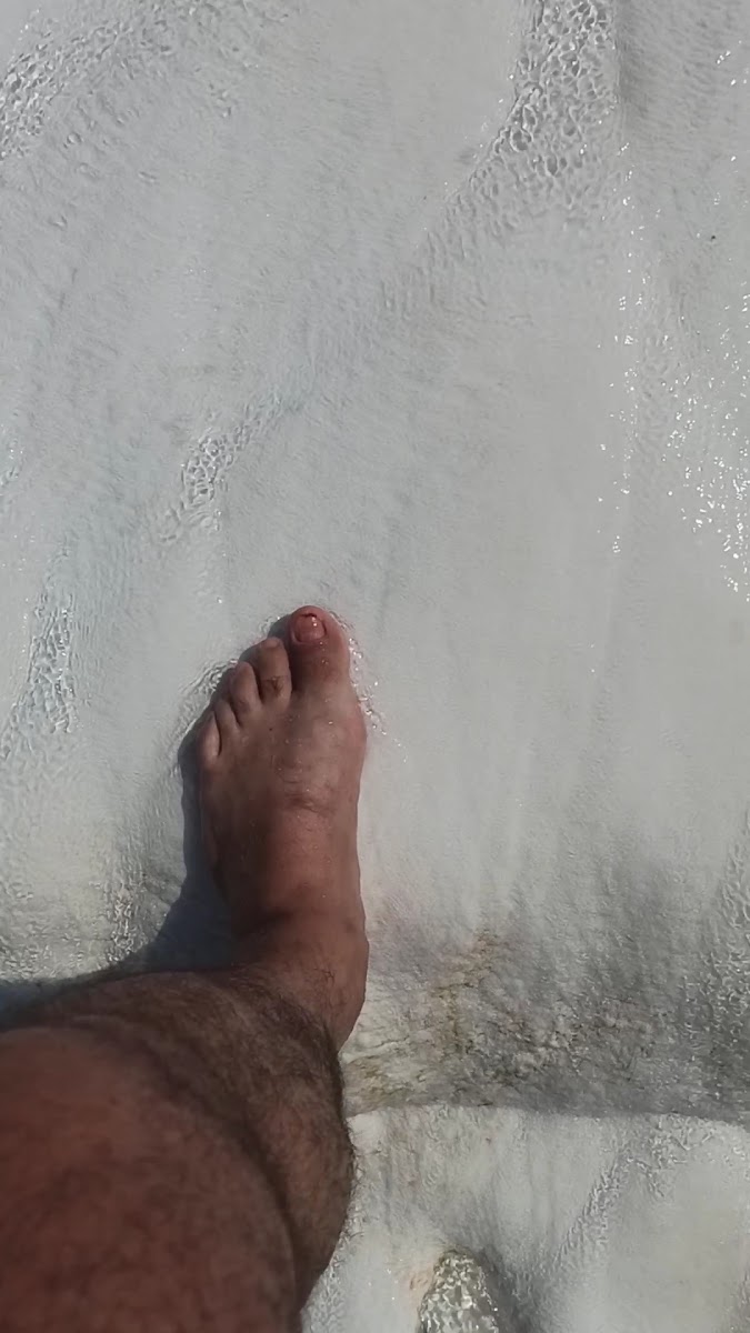 Denizli Hierapolis (Pamukkale) Ören yeri — photo 3