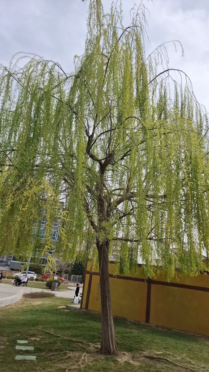 Denizli Masal Parkı — fotoğraf 2
