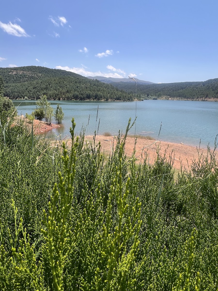 Derbent Dereağzı Göleti — photo 4