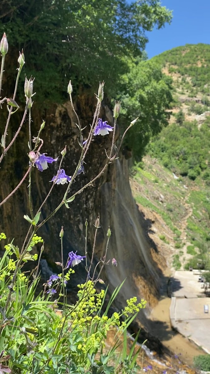 Dereova şelalesi — fotoğraf 5