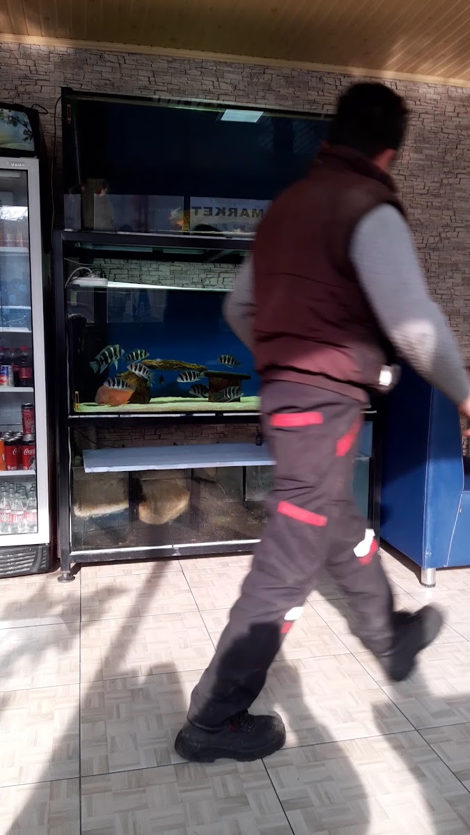 Develi Pide Kebap — photo 3
