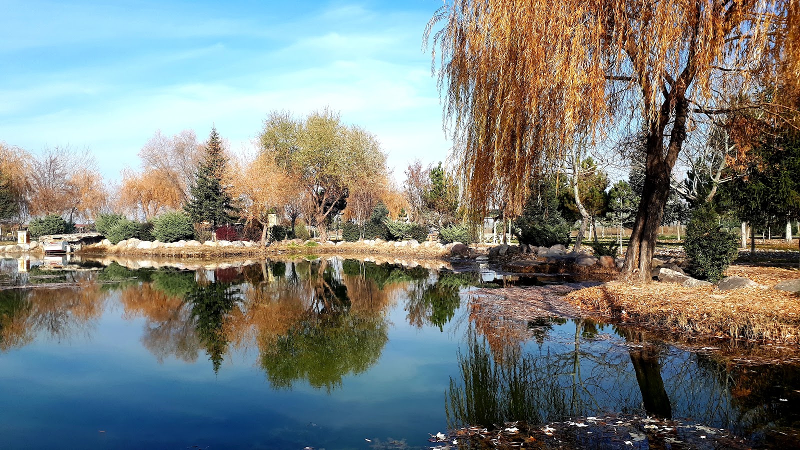 Devlet Bahçeli Parkı — fotoğraf