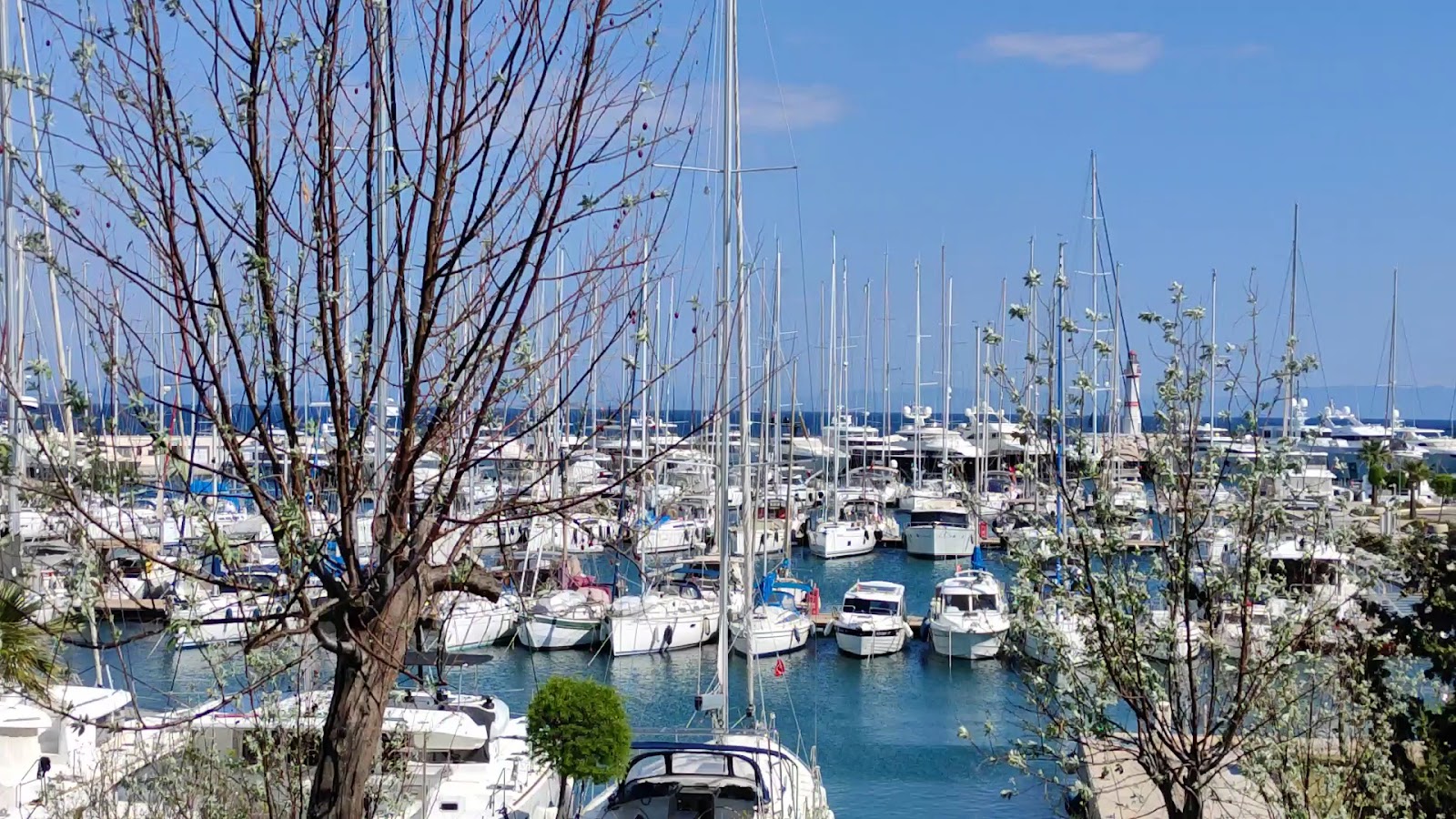 Didim Yat Limanı — photo 3