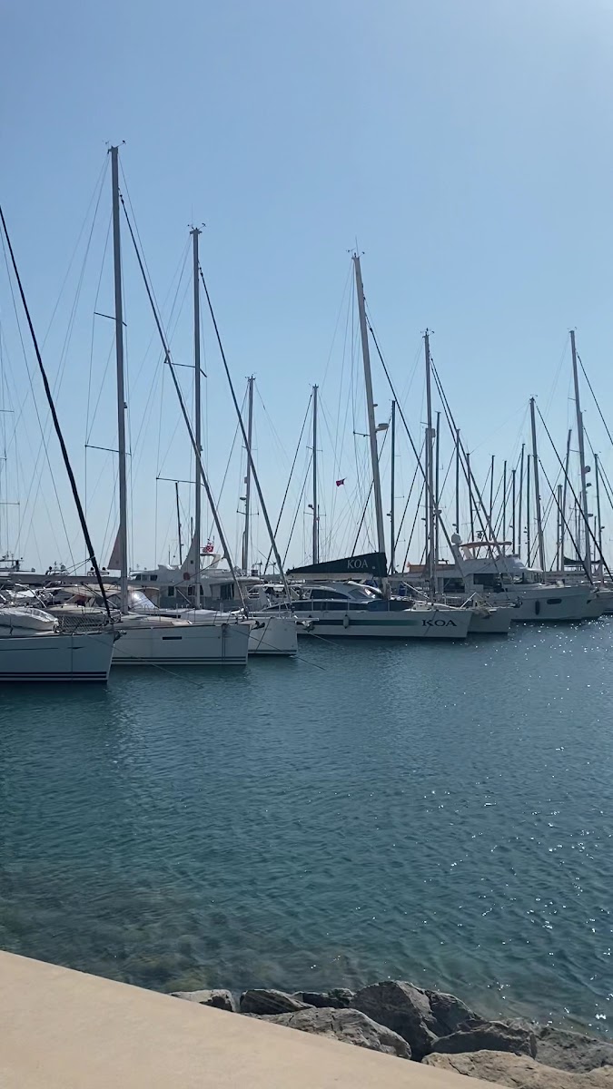 Didim Yat Limanı — photo 4