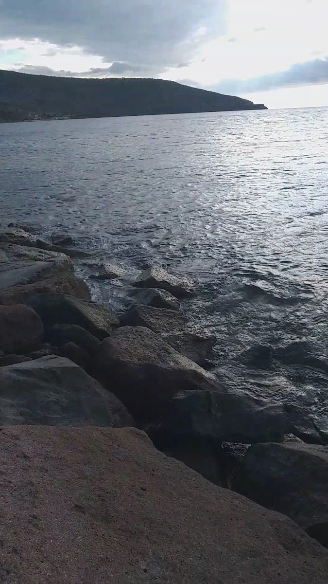 Dikili Limanı — fotoğraf 3