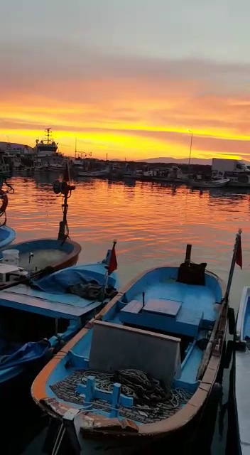Dikili Limanı — fotoğraf 4